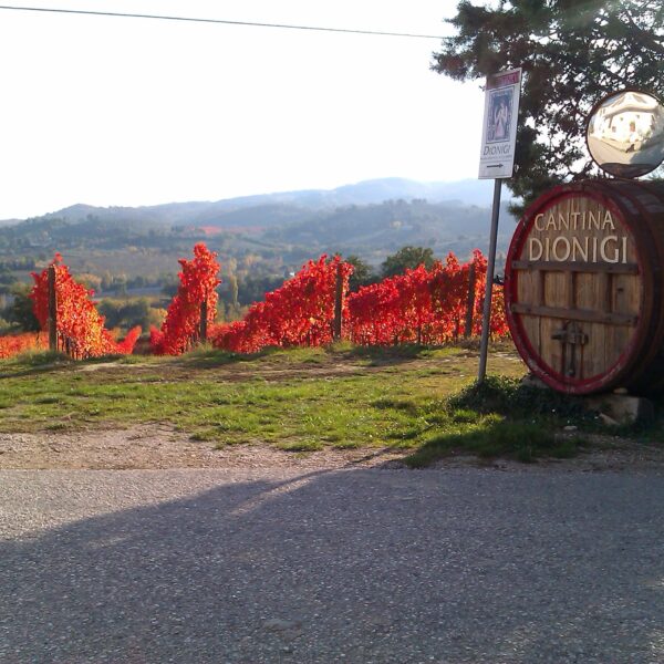 Dionigi