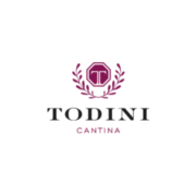 Todini