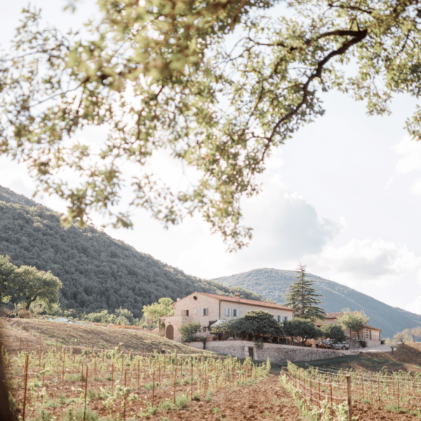 Terra del Carmine