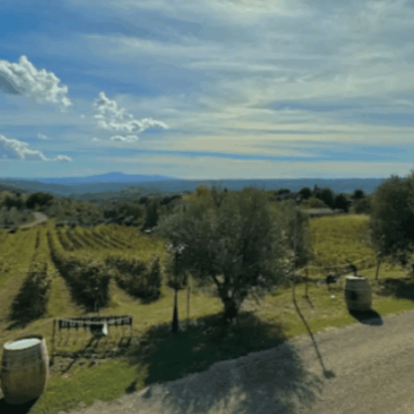 Tenuta di Freddano