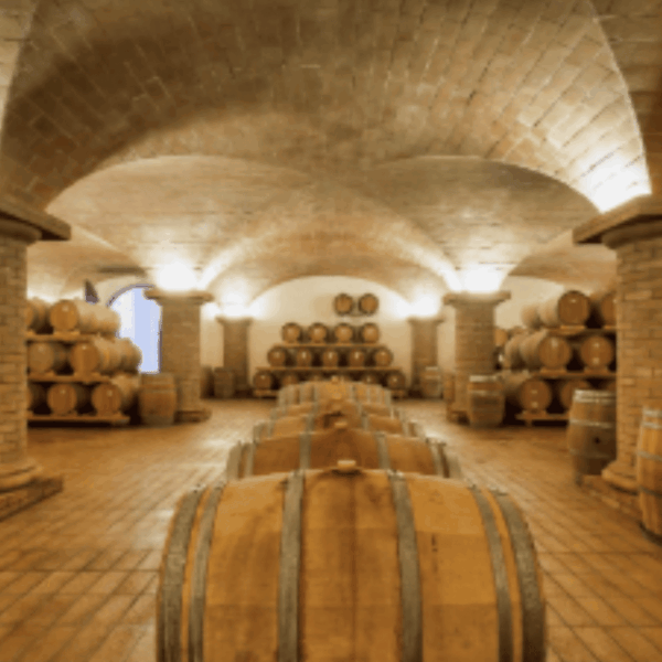 Tenuta di Freddano